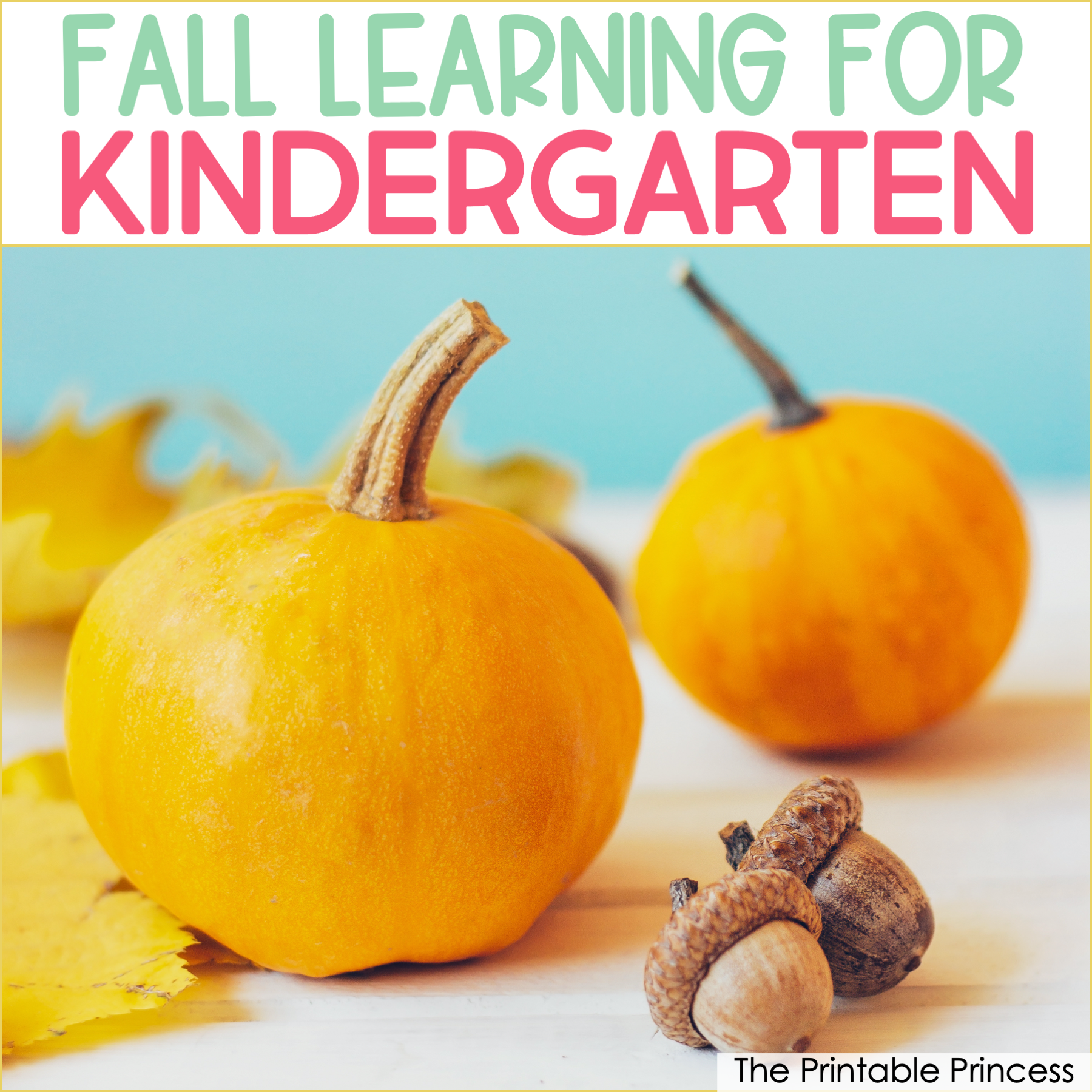 fall learning activities for kindergarten