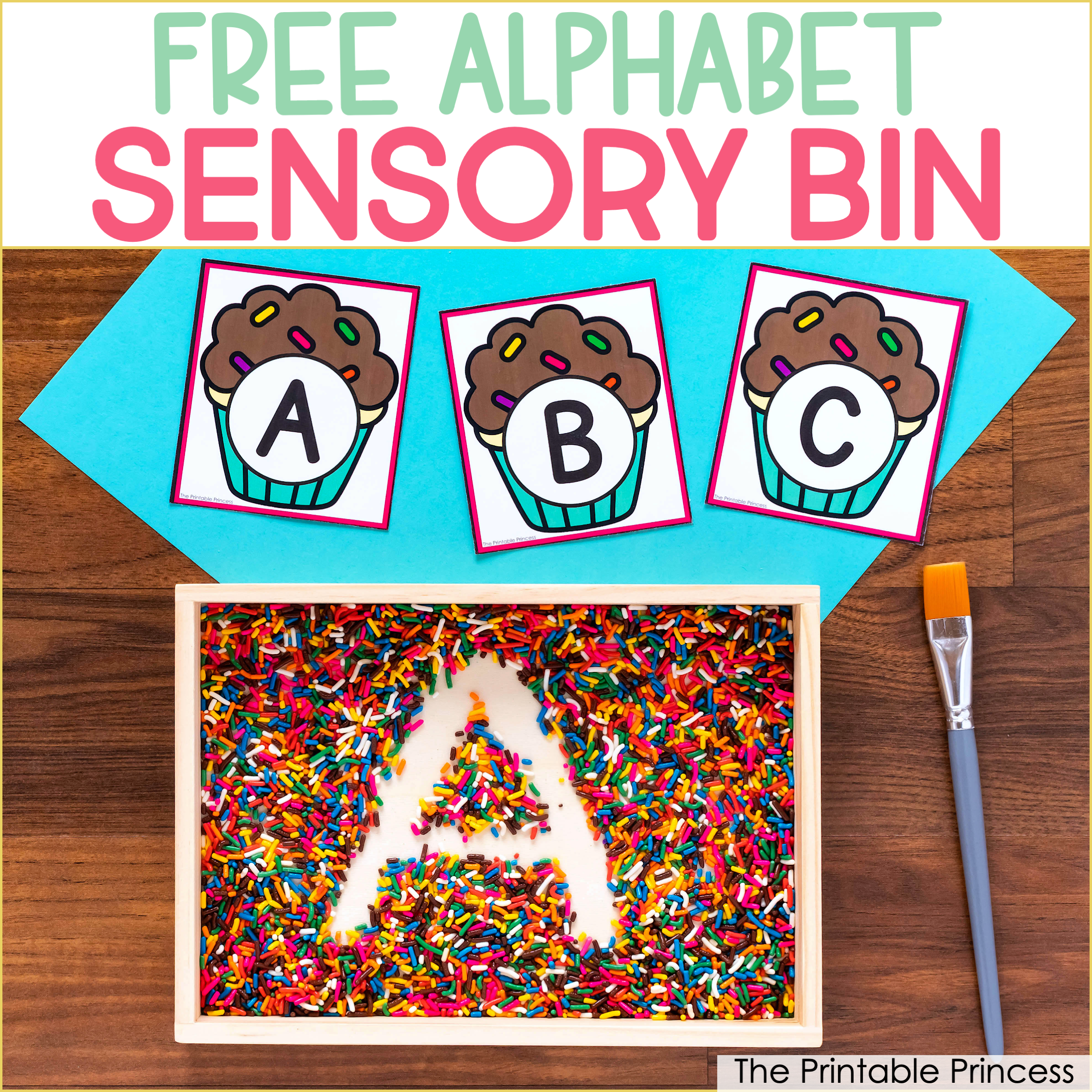 Free Alphabet Sensory Bin